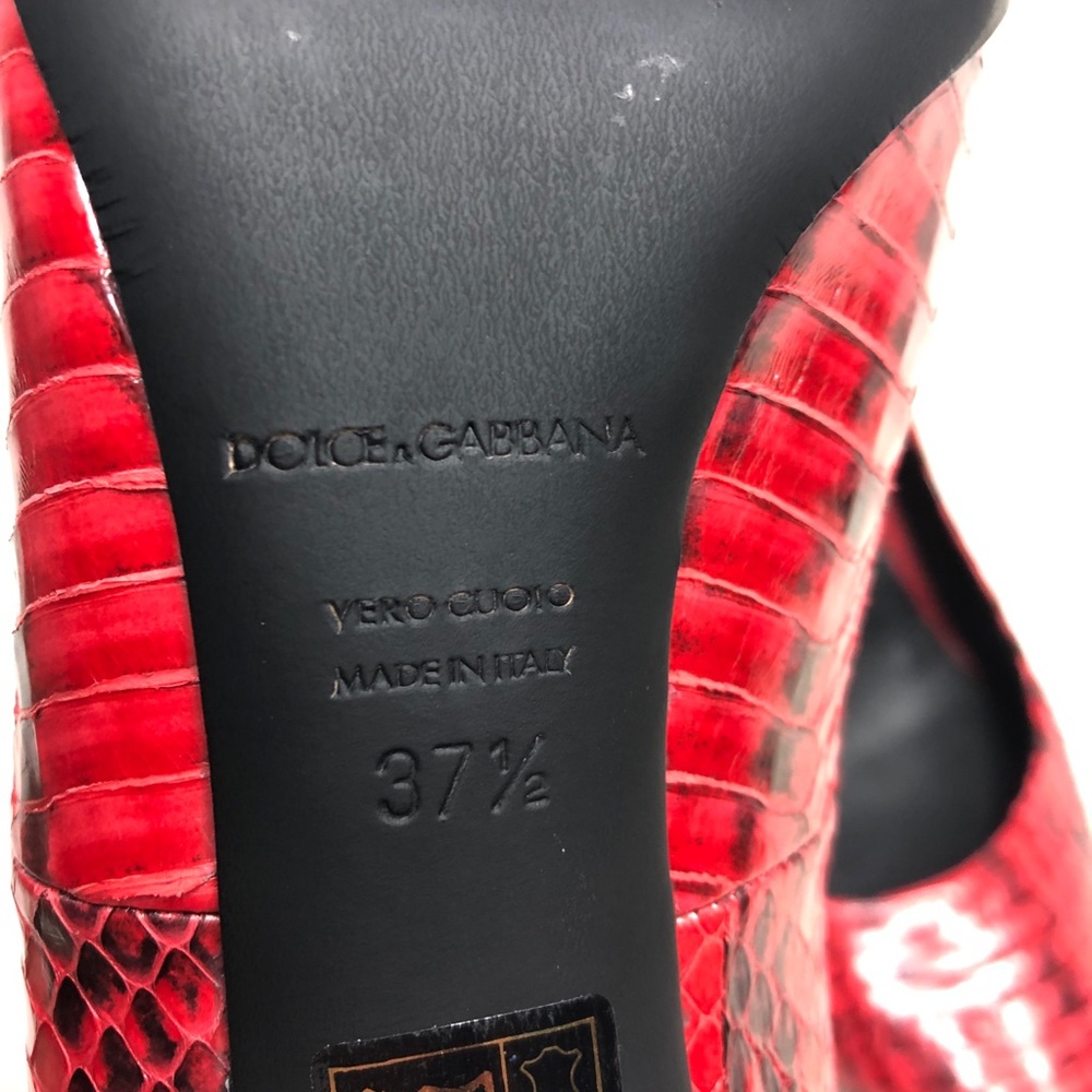 Dolce & Gabbana Pump Red Python Heels - image 5